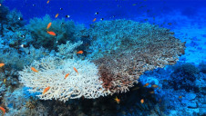According to WWF, nature loss will cost the global economy at least £8trn by 2050